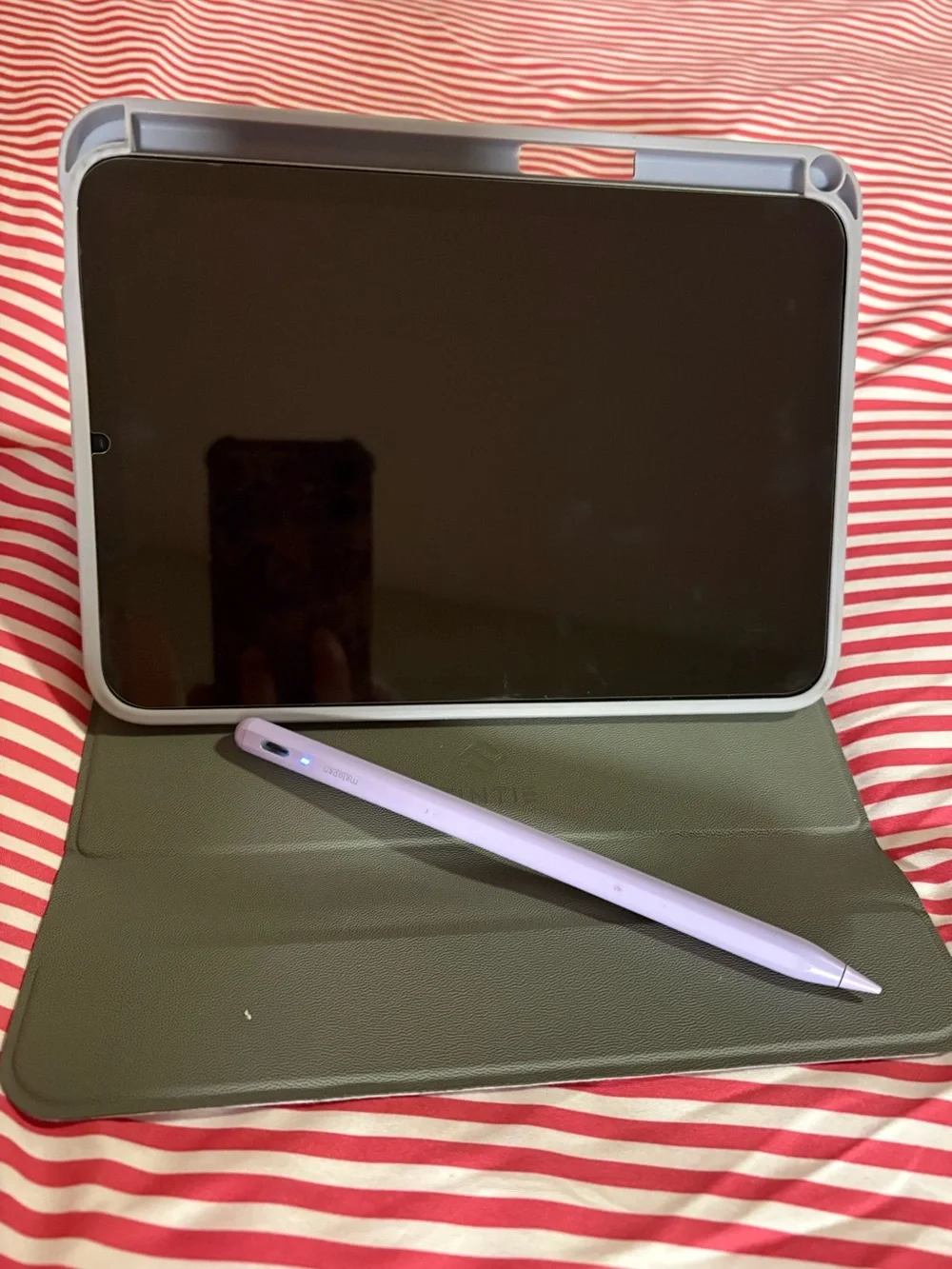 iPad mini (A17 Pro) — Excellent Condition — $400 OBO